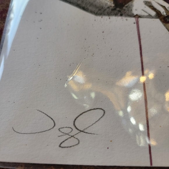 Steven Vigil Artwork signed in protective wrapping 10/500 - Picture 4 of 5